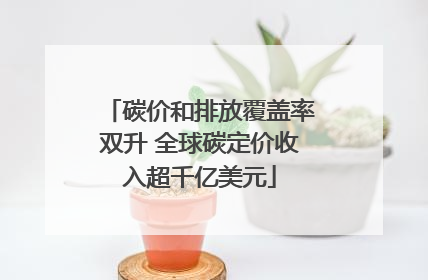 碳价和排放覆盖率双升 全球碳定价收入超千亿美元
