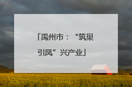 禹州市：“筑巢引凤”兴产业