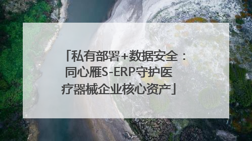 私有部署+数据安全：同心雁S-ERP守护医疗器械企业核心资产