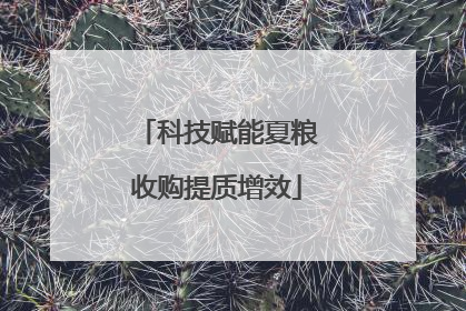 科技赋能夏粮收购提质增效