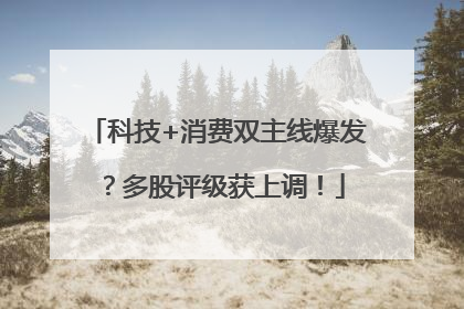 科技+消费双主线爆发？多股评级获上调！