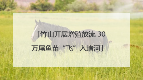 竹山开展增殖放流 30万尾鱼苗“飞”入堵河
