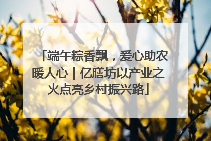 端午粽香飘，爱心助农暖人心｜亿膳坊以产业之火点亮乡村振兴路