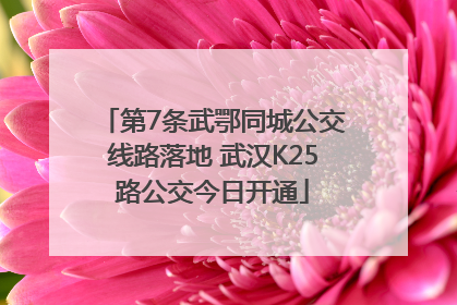 第7条武鄂同城公交线路落地 武汉K25路公交今日开通