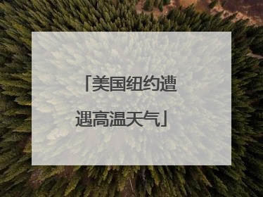 美国纽约遭遇高温天气