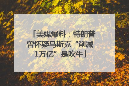 美媒爆料：特朗普曾怀疑马斯克“削减1万亿”是吹牛