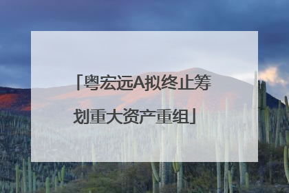粤宏远A拟终止筹划重大资产重组