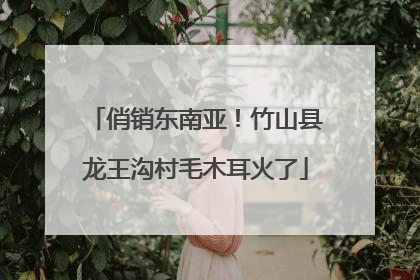 俏销东南亚！竹山县龙王沟村毛木耳火了
