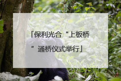 保利光合“上板桥”通桥仪式举行