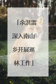 余洪雷深入南山乡开展巡林工作