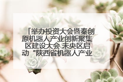 举办投资大会暨秦创原机器人产业创新聚集区建设大会 未央区启动“陕西省机器人产业聚集区”建设