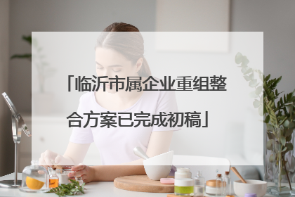 临沂市属企业重组整合方案已完成初稿
