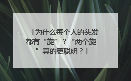 为什么每个人的头发都有“旋”？“两个旋”真的更聪明？
