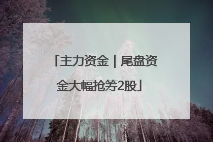 主力资金｜尾盘资金大幅抢筹2股