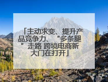主动求变、提升产品竞争力、“多条腿”走路 跨境电商新大门在打开