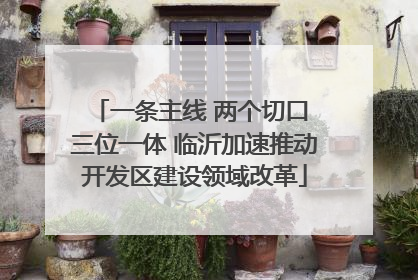 一条主线 两个切口 三位一体 临沂加速推动开发区建设领域改革