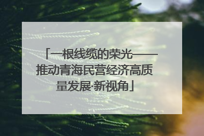 一根线缆的荣光——推动青海民营经济高质量发展·新视角