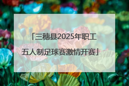 三穗县2025年职工五人制足球赛激情开赛
