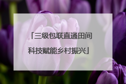 三级包联直通田间 科技赋能乡村振兴