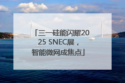 三一硅能闪耀2025 SNEC展，智能微网成焦点