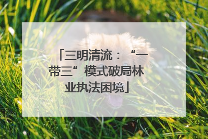 三明清流：“一带三”模式破局林业执法困境