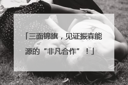 三面锦旗，见证振森能源的“非凡合作”！
