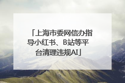 上海市委网信办指导小红书、B站等平台清理违规AI
