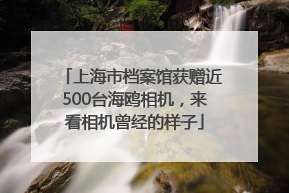 上海市档案馆获赠近500台海鸥相机，来看相机曾经的样子