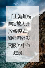 上海虹桥持续放大开放新模式,加强海外发展服务中心建设