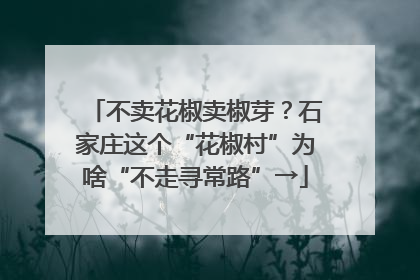 不卖花椒卖椒芽？石家庄这个“花椒村”为啥“不走寻常路”→