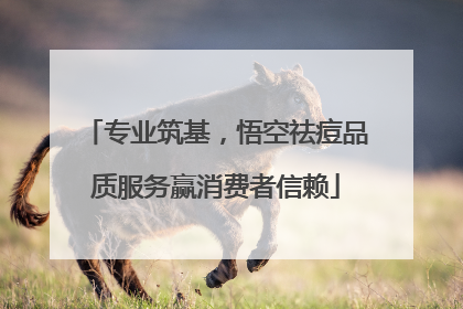 专业筑基，悟空祛痘品质服务赢消费者信赖