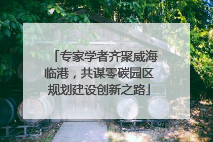 专家学者齐聚威海临港，共谋零碳园区规划建设创新之路