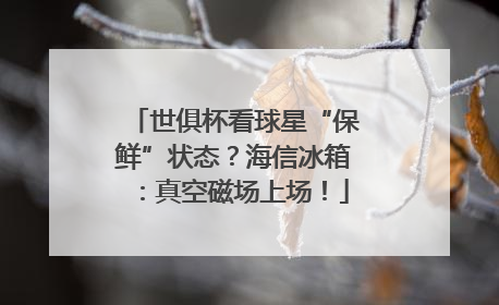 世俱杯看球星“保鲜”状态？海信冰箱：真空磁场上场！