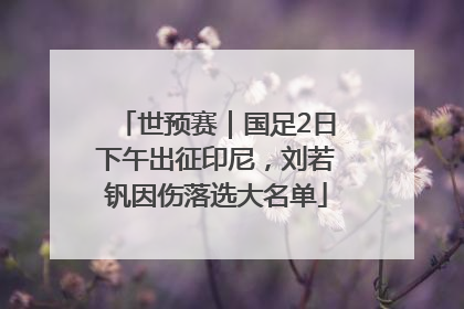世预赛｜国足2日下午出征印尼，刘若钒因伤落选大名单