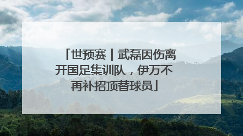 世预赛｜武磊因伤离开国足集训队，伊万不再补招顶替球员