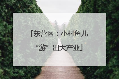 东营区：小村鱼儿“游”出大产业