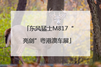东风猛士M817“亮剑”粤港澳车展