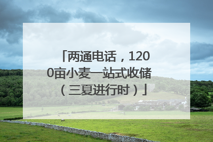 两通电话，1200亩小麦一站式收储（三夏进行时）
