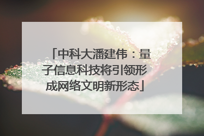 中科大潘建伟：量子信息科技将引领形成网络文明新形态