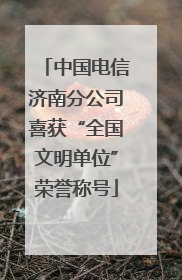 中国电信济南分公司喜获“全国文明单位”荣誉称号