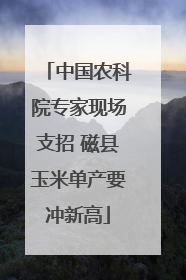 中国农科院专家现场支招 磁县玉米单产要冲新高