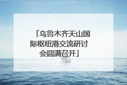 乌鲁木齐天山国际枢纽港交流研讨会圆满召开