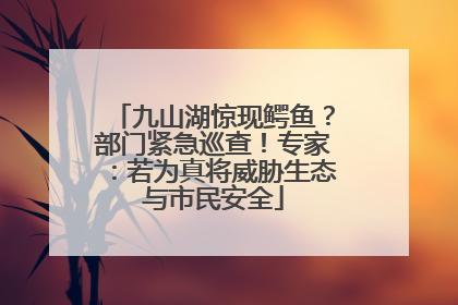 九山湖惊现鳄鱼？部门紧急巡查！专家：若为真将威胁生态与市民安全