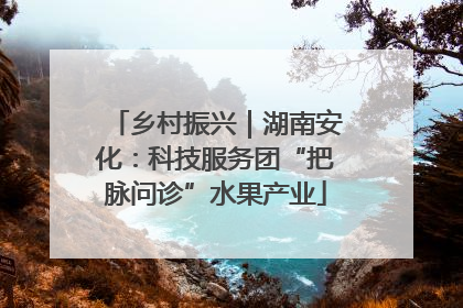乡村振兴｜湖南安化：科技服务团“把脉问诊”水果产业