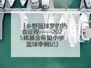 乡野篮球梦的热血征程——2025姚基金希望小学篮球季侧记