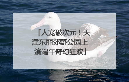 人宠破次元！天津东丽郊野公园上演端午奇幻狂欢