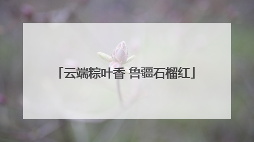 云端粽叶香 鲁疆石榴红