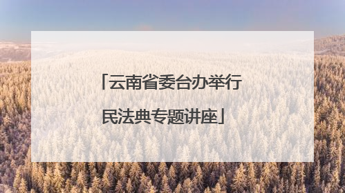 云南省委台办举行民法典专题讲座