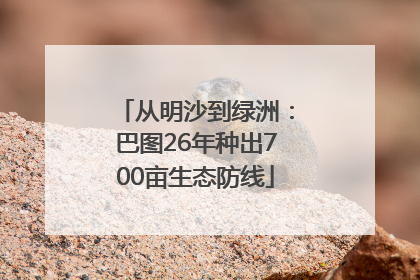 从明沙到绿洲：巴图26年种出700亩生态防线
