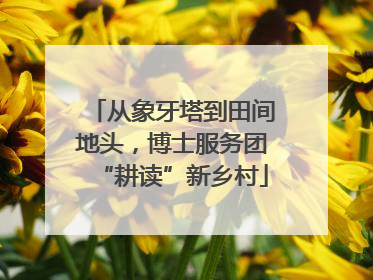 从象牙塔到田间地头，博士服务团“耕读”新乡村